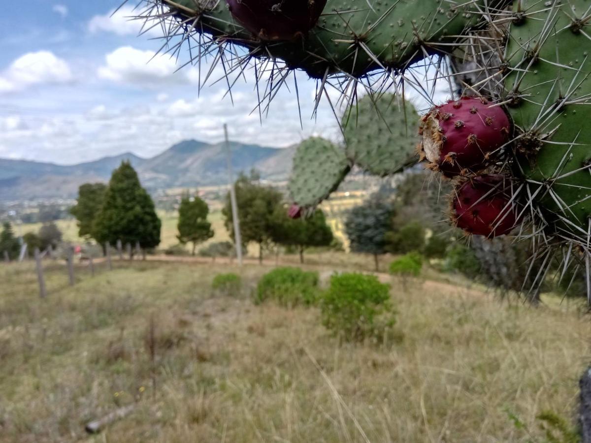 Hotel Campestre Los Duraznos Cucunubá Kültér fotó